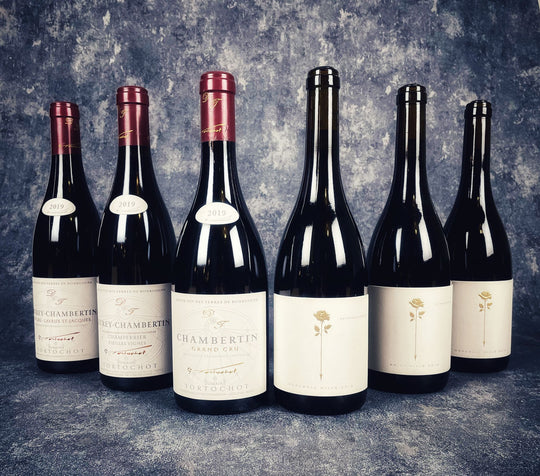Burgundy VS Oregon - Seated Tasting